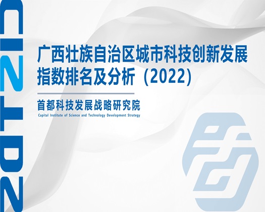 我要看操BB【成果发布】广西壮族自治区城市科技创新发展指数排名及分析（2022）